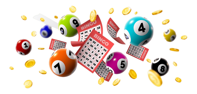 Complete Guide to Playing Lottery with 55 club